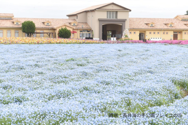 長井海の手公園ソレイユの丘